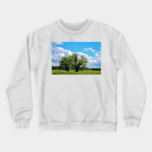 Country Scenery Crewneck Sweatshirt